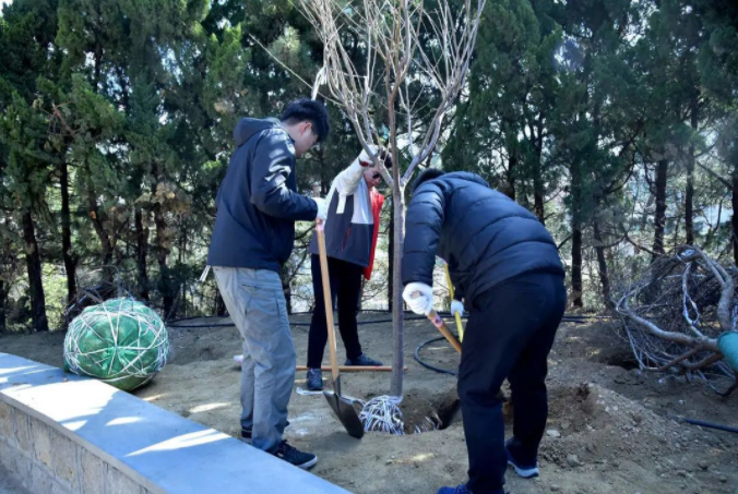 春風(fēng)十里，植下一片綠 | 瑞源控股集團(tuán)開展2023年植樹節(jié)系列活動